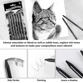Yeenao Charcoal Pencils Set,6 Pieces Charcoal Pencils and Sticks Set for Drawing Soft,Medium Hard Charcoals Pencils,DIY Drawing Sketching for Artists,Sketching,Blending (2 Soft + 2 Medium + 2 Hard)