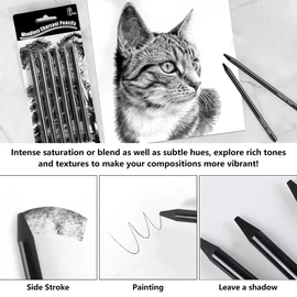 Yeenao Charcoal Pencils Set,6 Pieces Charcoal Pencils and Sticks Set for Drawing Soft,Medium Hard Charcoals Pencils,DIY Drawing Sketching for Artists,Sketching,Blending (2 Soft + 2 Medium + 2 Hard)