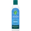 Jason Thin-To-Thick Extra Volume Shampoo, 8 Ounce