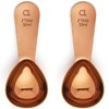 Apace Living Coffee Scoop (Set of 2) - 2 Tablespoon