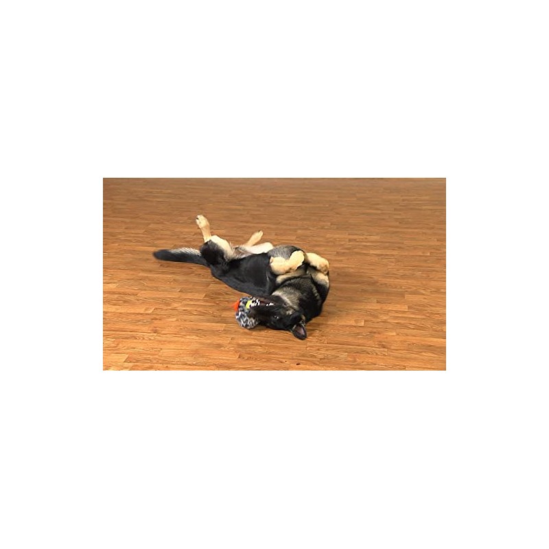 Gazoos Interactive Dog Toy (Leaping Leopardo), Motion Activated Bouncing Talking