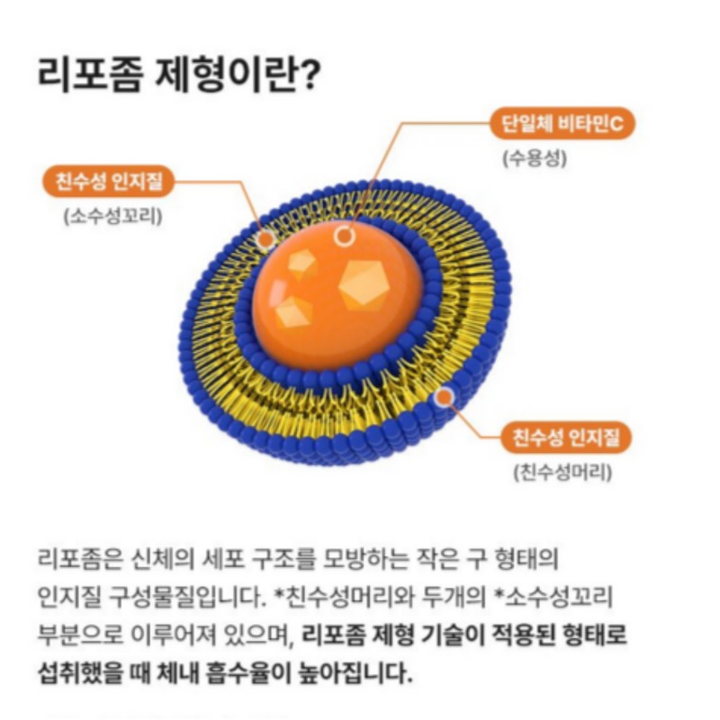 Korea Yakult (5 months supply) Korea Yakult V Food Liposomal