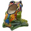 Talavera Pottery Store Frog Planter Large Eyes Hand Painted Indoor