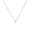 Gold Initial Necklaces for Women, Dainty 14k Gold Plated Letter