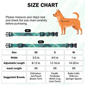 DILLYBUD Small Dog Collar and Leash Set, Dog Collars for Puppy Medium Dogs, Adjustable Pet Collar for Doggie XS S M Breed Boys or Girls Chihuahua, Yorki, Bulldog, 5FT Nylon Dog Leash,Green XS