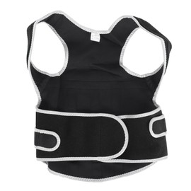 Posture Corrector Breathable Adult Back Waist Spine Support Belt Brace StraightenerL