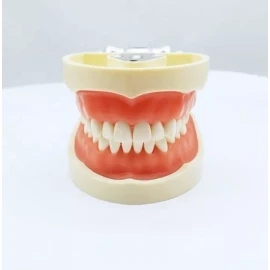Vedent Cln Tipodonto Tipo Nissiin Encía Suave 32 Dientes