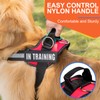 Essential Dog Harness, No Pull Pet Harness with 3 Side