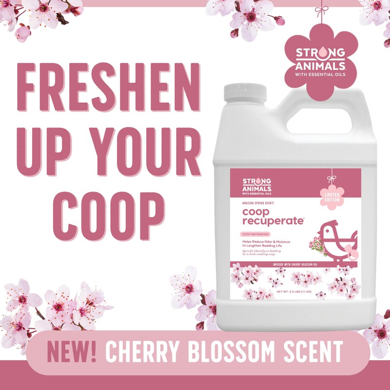 Strong Animals Coop Recuperate Cherry Blossom - New, Limited-Edition Scent