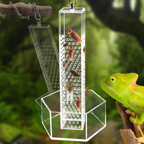 NICERINC PET Chameleon Feeding Bowl, Hanging Transparent Acrylic Bearded Dragon