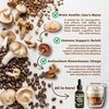 FUNGISIP Lion's Mane, Reishi, Chaga Supplement - Fungoccino: Organic Medicinal