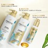 Shampoo Equilibrante Pantene Pro Miracles Equilibrio Raíz Puntas 510