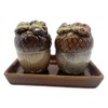 Acorns Ceramic Salt and Pepper Shaker Set with Tray