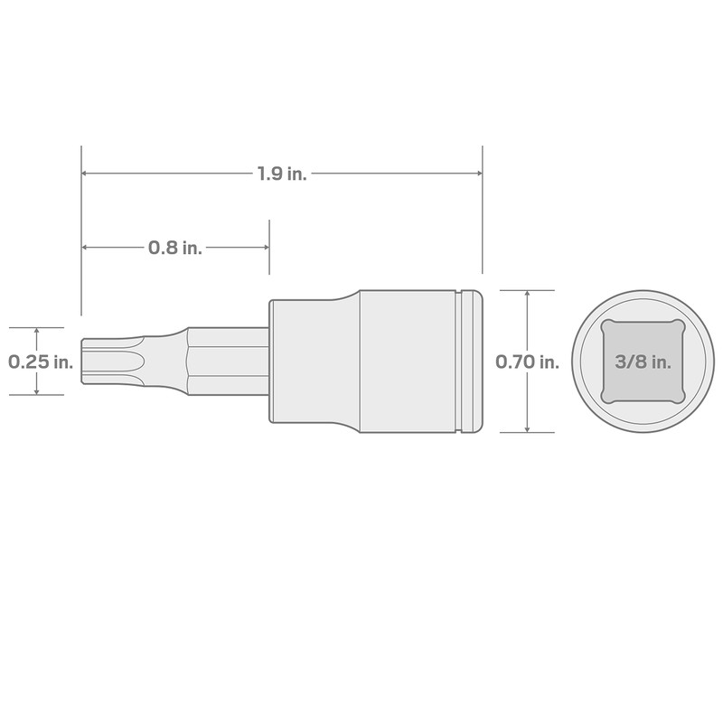 TEKTON 3/8 Inch Drive x T40 Torx Bit Socket |