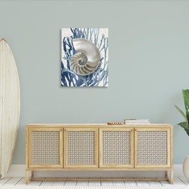 Stupell Industries Shell Coral Beach Blue Design, Designed by Caroline Kelly Wall Art, 30x40, Gallery Wrapped Canvas