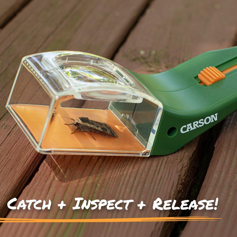 Carson BugView 5X Magnifying Glass Quick-Release Bug Catcher Indoor and