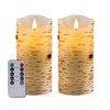 Nancia Flameless Candles Birch Bark Effect Battery Operated Candle,2PACK Real