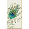Ideal Home Range 16 Count Decorative Paper Napkins, Buffet, Peacock