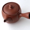 Tokoname Ware Sera Mesh Large Teapot, 16.9 fl oz (480