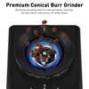 Secura Conical Burr Coffee Grinder with 35 Grinding settings Coffee