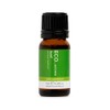ECO. Modern Essentials Aroma Basil Pure Essential Oil 10 ml,