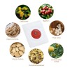 Tratamiento Natural Efectivo S Rebote Adelgaza Tallas 30p