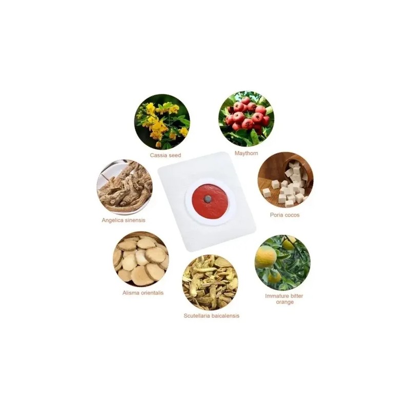 Tratamiento Natural Efectivo S Rebote Adelgaza Tallas 30p