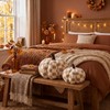 Leinuosen 2 Pcs Fall Pumpkin Pillows Brown 3D Pumpkin Shaped