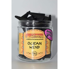 Nature's Enlightenment Backflow Wildberry Incense 5 Cone Pack - Ocean Wind Scent