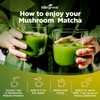 KIKI Green Mushroom Matcha Super Blend - Matcha Powder with
