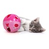Pets First CAT TOYS Interactive Toys For Cats. Cat Ball