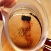 Chinese Pu'er 5PCS Ripe Black Tea - Yunnan Resin Wild