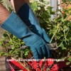 Rostain Protectmax-IT09 Gardening Gloves Roses Small Brush 100% Waterproof Long