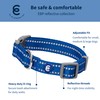Blueberry Pet Essentials Reflective Dog Collar & Leash Set, Adjustable