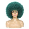JSDshine Dark Green Afro Wigs for Women - Soft 70s