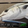 Jack Fin Pencil Bait STYLO Stylo 210 Pink Fluo Floating
