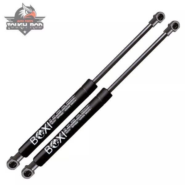 BOXI 2X Hatchback Lift Supports Struts Shocks Fits 2016 To