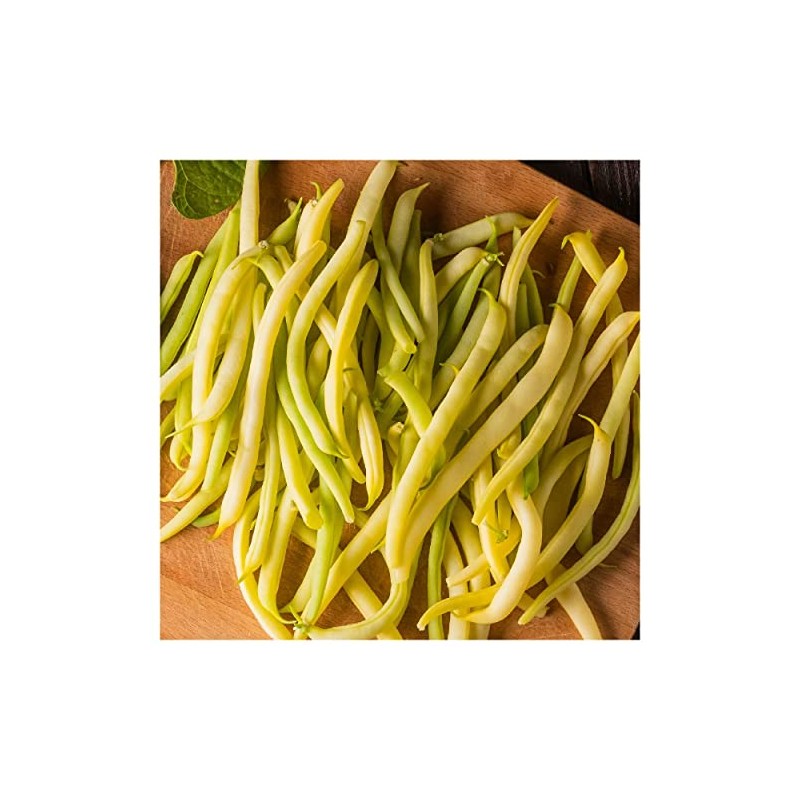 Everwilde Farms - 1/4 Lb Golden Wax Yellow Bean Seeds