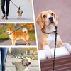 lynxking Slip Lead Dog Leash Reflective, Heavy Duty Comfortable Strong