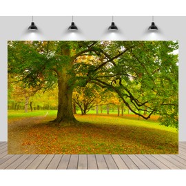 chnywork 7x5ft Spring Autumn Backdrop Park Meadow Old Tree Nature Scenery Photography Background for Outdoor Picnic Party Decoration Kids Adults Travel Portraits Photo Studio Props Fabric