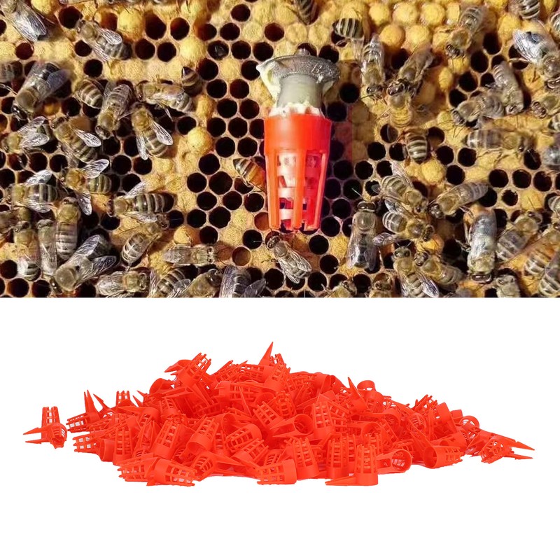 250PCS Plastic Opening Bee Queens Cage Protective Cell Cover Beekeeping