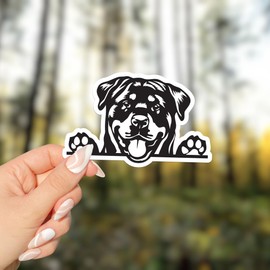 Rottweiler Dog Peeking Vinyl Sticker - for Water Bottle Phone Car Tumbler Laptop - Waterproof - 3"