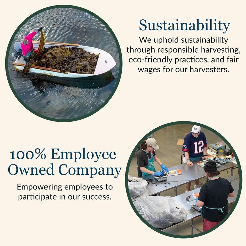 Maine Coast Sea Vegetables Kelp Granules Blend | Organic Seaweed