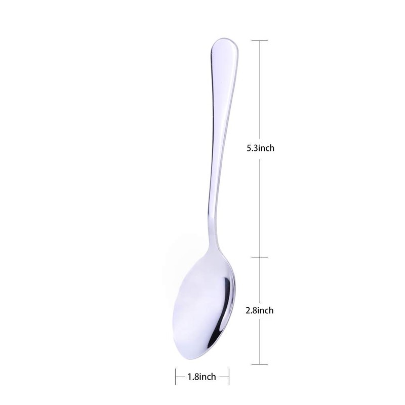 Qinglele 304 Stainless Steel Spoon Set of 6, Soup Spoon,