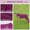 MHaustlie Dog Recovery Cover for Hind Legs, Breathable Dog Surgery