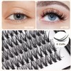 Bodermincer D Curl 10D/20D/30D Clusters Lashes 8-22mm to Choose Natural