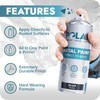 Polar Gloss Black Direct to Rust Spray Paint - 2