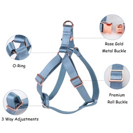 Lionet Paws Dog Harness, No-Pull Adjustable Silk Nylon Webbing Pet Harness with Metal Buckle for Small Dogs Easy Walking, Blue, S