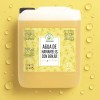 Productos Mart Mexico Agua de Hamamelis y Benjuí Tónico Facial