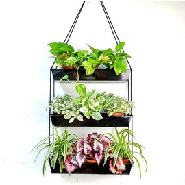 LaLaGreen Wall Planters - 16 Inch Wall Planters for Indoor Plants, 3 Tier Galvanized Succulent Wall Mounted Planters, Metal Boho Window Herb Garden, Rectangle Hanging Vertical Shelf Shower Plant Pot